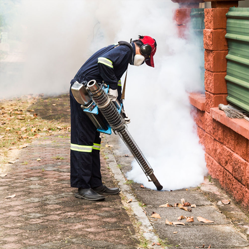 Eradication de tous insectes nuisibles à Créteil (94000) dans le Val de Marne (94) et en Ile de France